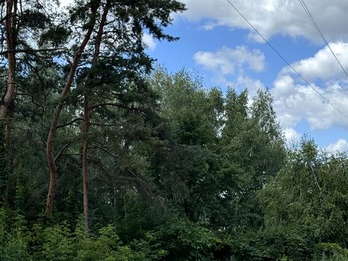 будинок за адресою Горького, 15