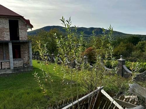 будинок за адресою Косів, Кобелянська, 48