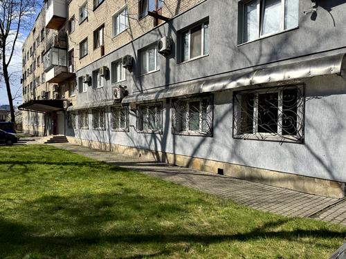 комерційна за адресою Володимира Великого вул. (), 29
