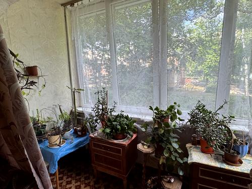 квартира за адресою Тулузи вул., 16