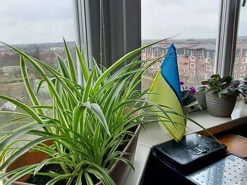квартира за адресою Вереснева вул., 22