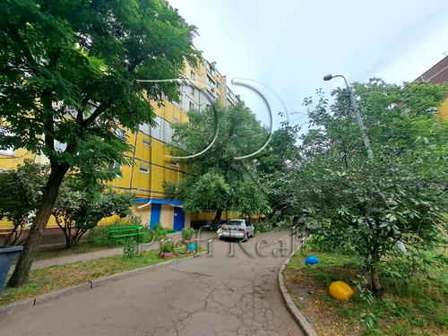 квартира по адресу Драйзера Теодора вулиця, 11А