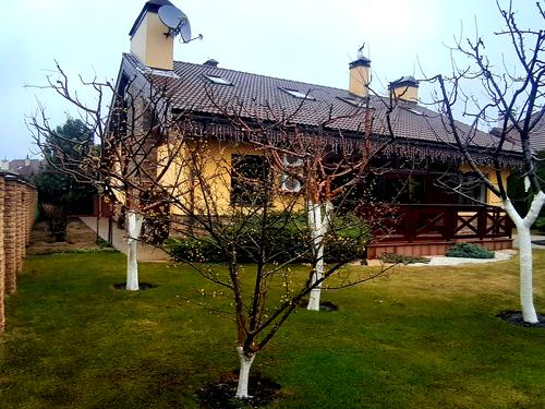 будинок за адресою Скоропадського