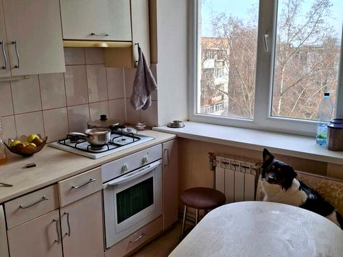 квартира по адресу Героев-Спасателей ул. (Волкова), 17