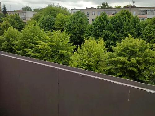 квартира за адресою Ярослава Гашека вул., 17