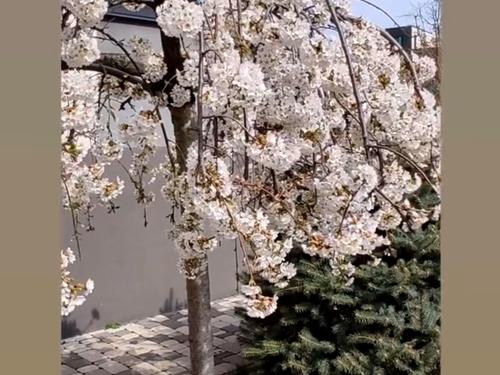 квартира по адресу Героев Небесной Сотни просп., 16/28
