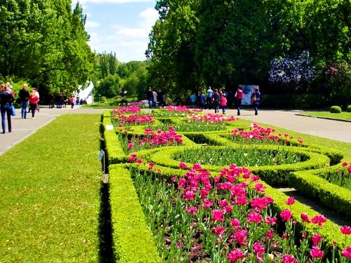 квартира за адресою Київ, Садово-Ботанічна вул. (Тимірязєвська), 46
