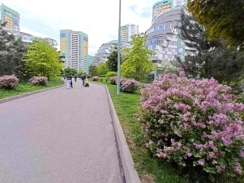 квартира за адресою Вишгородська вул., 45Б/1