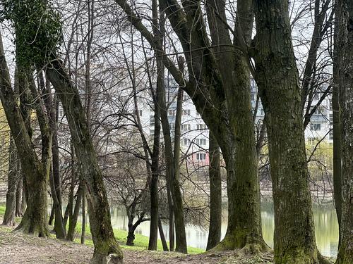 ділянка за адресою Львів, Академіка Степана Рудницького вул.