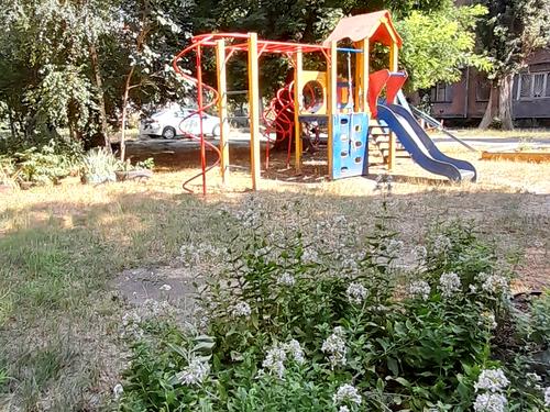 кімната за адресою Новаторів вул., 13