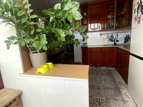 квартира за адресою Архітектора Ніколаєва вул., 3