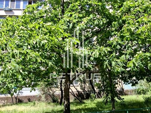 квартира за адресою Романа Шухевича просп. (Генерала Ватутіна), 24-В