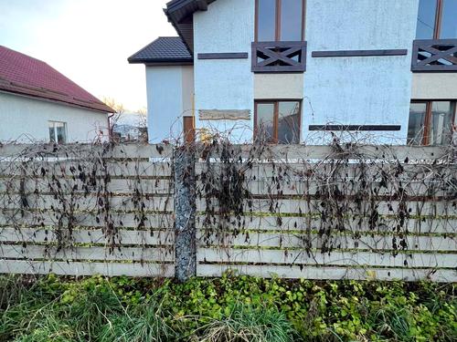 дом по адресу Терешкова
