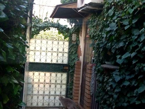 квартира по адресу Люстдорфская дорога ул., 27 будинок 15