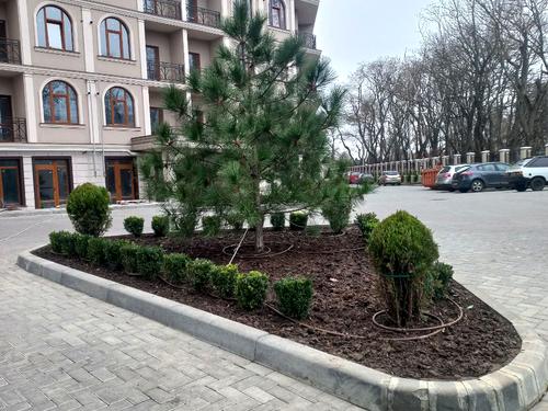 квартира по адресу Дача Ковалевского ул., 91