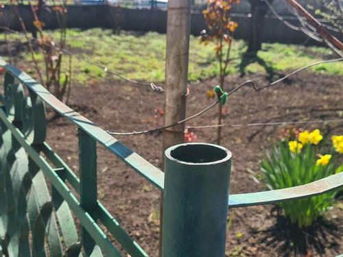дом по адресу Одесса, Южная дорога 