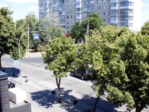 квартира за адресою Олеся Гончара вул., 11