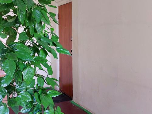 квартира по адресу Шишкіна вул., 48/3