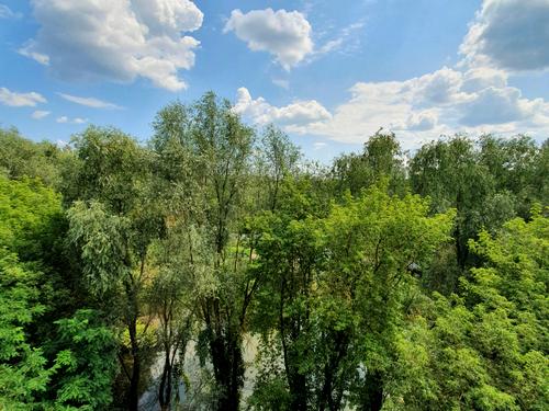 квартира по адресу Євгена Коростельова ул. (Гагаріна), 20
