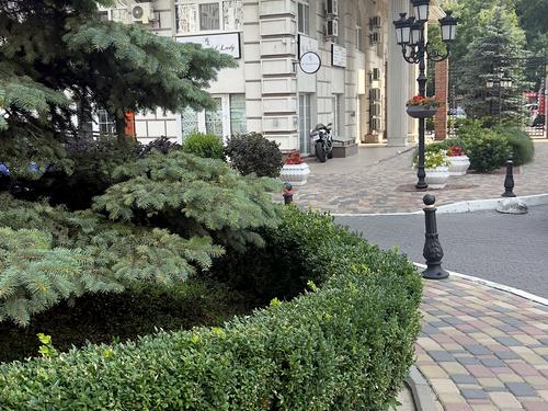 квартира за адресою Михайла Максимовича вул. (Онуфрія Трутенка), 26