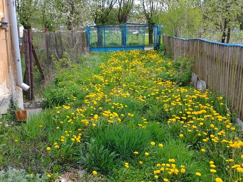 будинок за адресою с. Жорниська, квіткова, 305