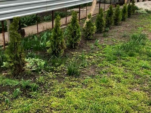 будинок за адресою Бобринецький Шлях вул.
