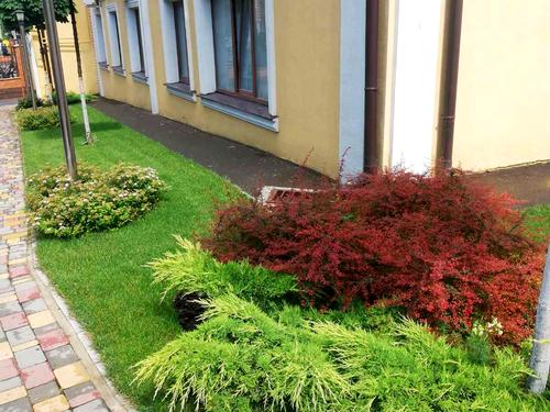 квартира за адресою Дача Ковалевського вул., 121 к2
