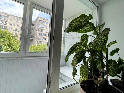 квартира по адресу Буковинская ул., 3