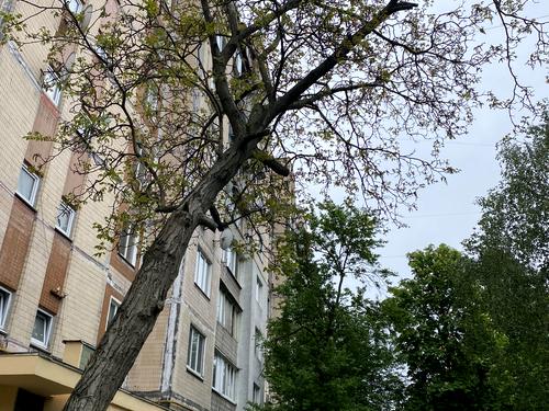 квартира за адресою Чистяківська вул., 7