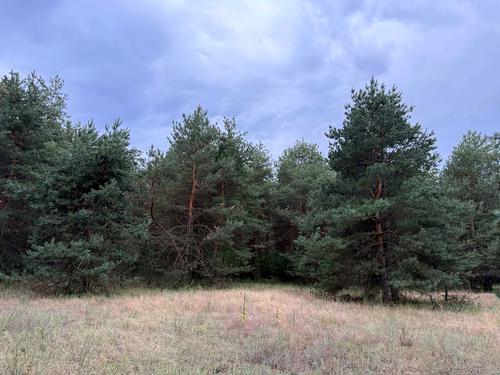 участок по адресу зеленая