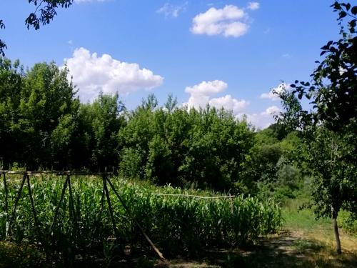 дом по адресу с. Станишовка, Зелена, 24