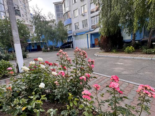 квартира по адресу Люстдорфская дорога ул., 140/1