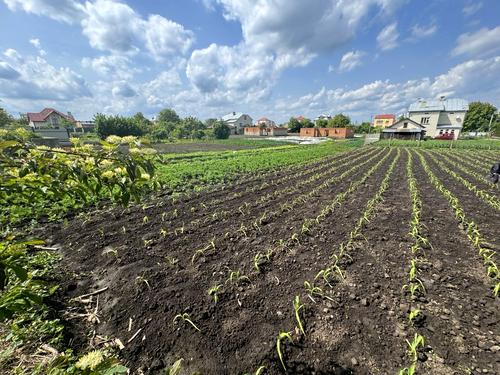 ділянка за адресою с. Великі Грибовичі, Стуса