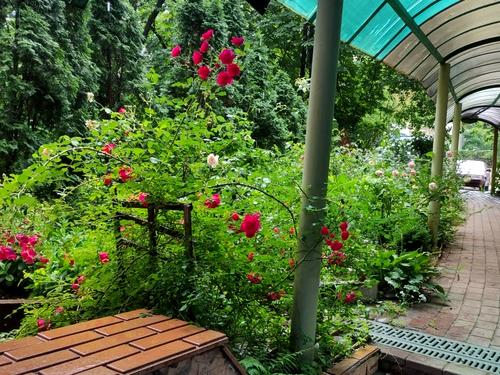 комерційна за адресою Голосіївський просп. (40-річчя Жовтня), 114 к2