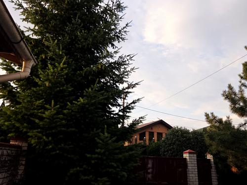 дом по адресу п. Дослидное, Провулок Дослідний