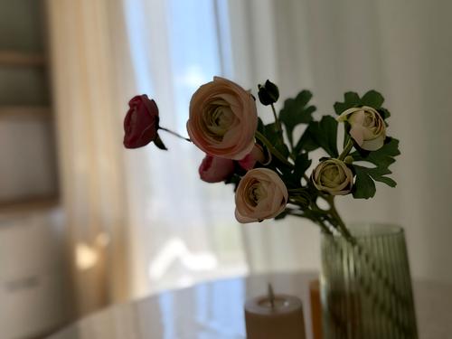 квартира за адресою Тираспольська вул., 60