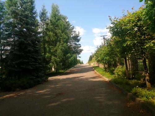 участок по адресу Лісова