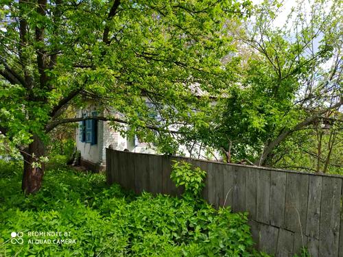 дом по адресу Бобровицька, 16