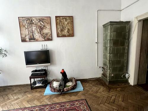 квартира за адресою Миколи Леонтовича вул., 13