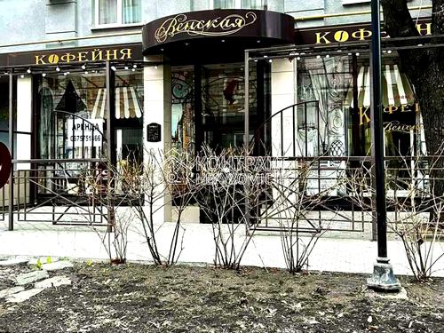 коммерческая по адресу Чернышевского ул., 15