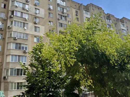 квартира по адресу Парковая ул., 77