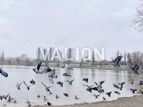квартира за адресою Юрія Шумського вул., 3-Г