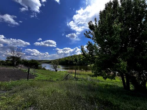 дом по адресу Лесі Украінки, 41