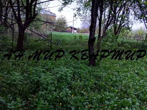 дом по адресу Полтава, Шостаки, 1