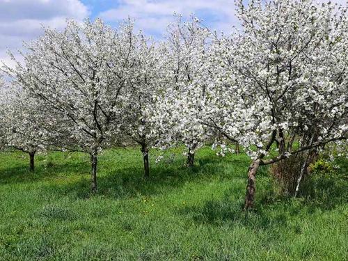 будинок за адресою Бічна Львівська вул.