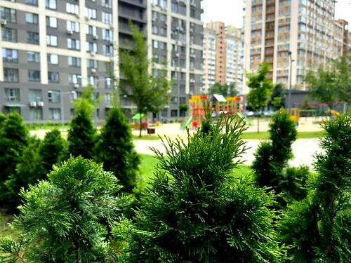 квартира по адресу Правды просп. (Правды), 41-Б