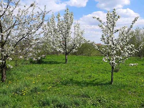 будинок за адресою Бічна Львівська вул.