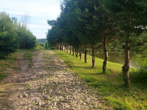 будинок за адресою Жасминова, 40