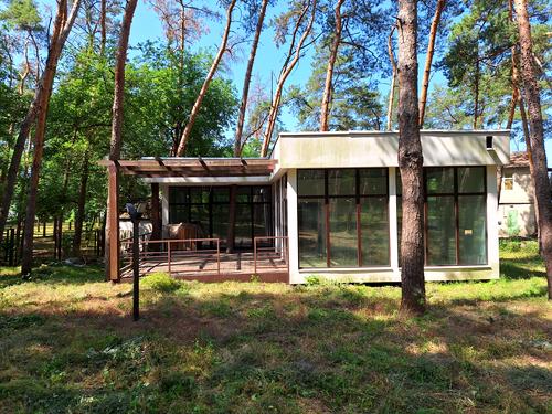 дом по адресу с. Новоселовка, Лісна