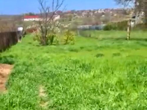 дом по адресу с. Корсунцы, лиманий провулок, 8